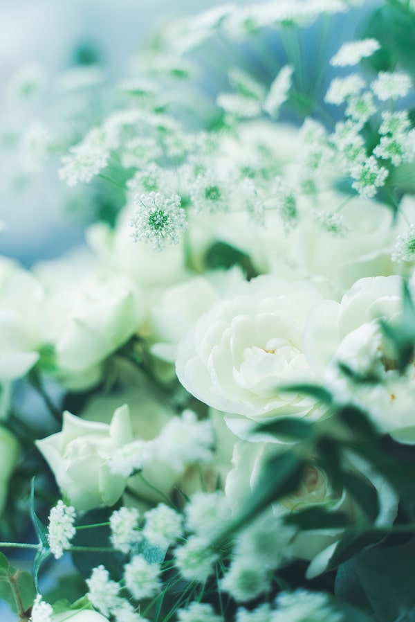 このアルバムを見る