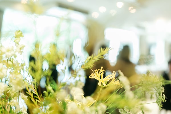 このアルバムを見る