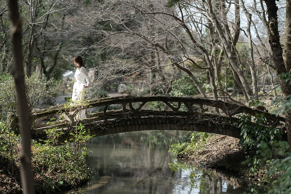 このアルバムを見る