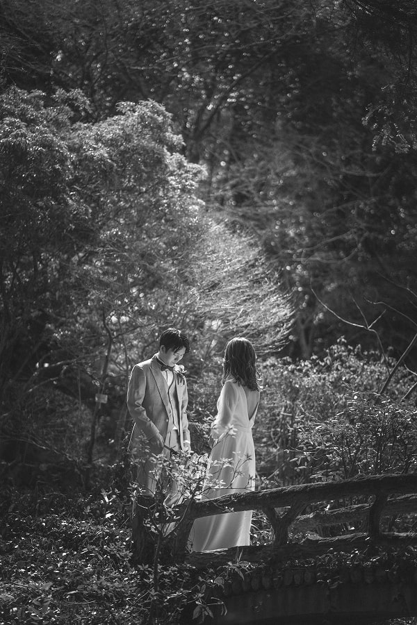 このアルバムを見る